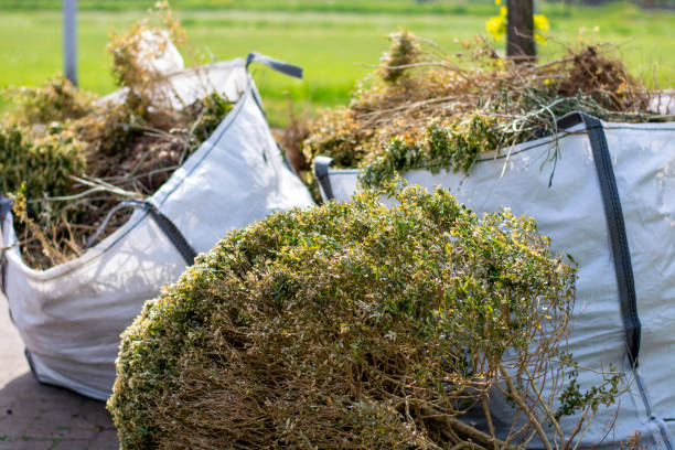 Best Household Junk Removal  in Meraux, LA